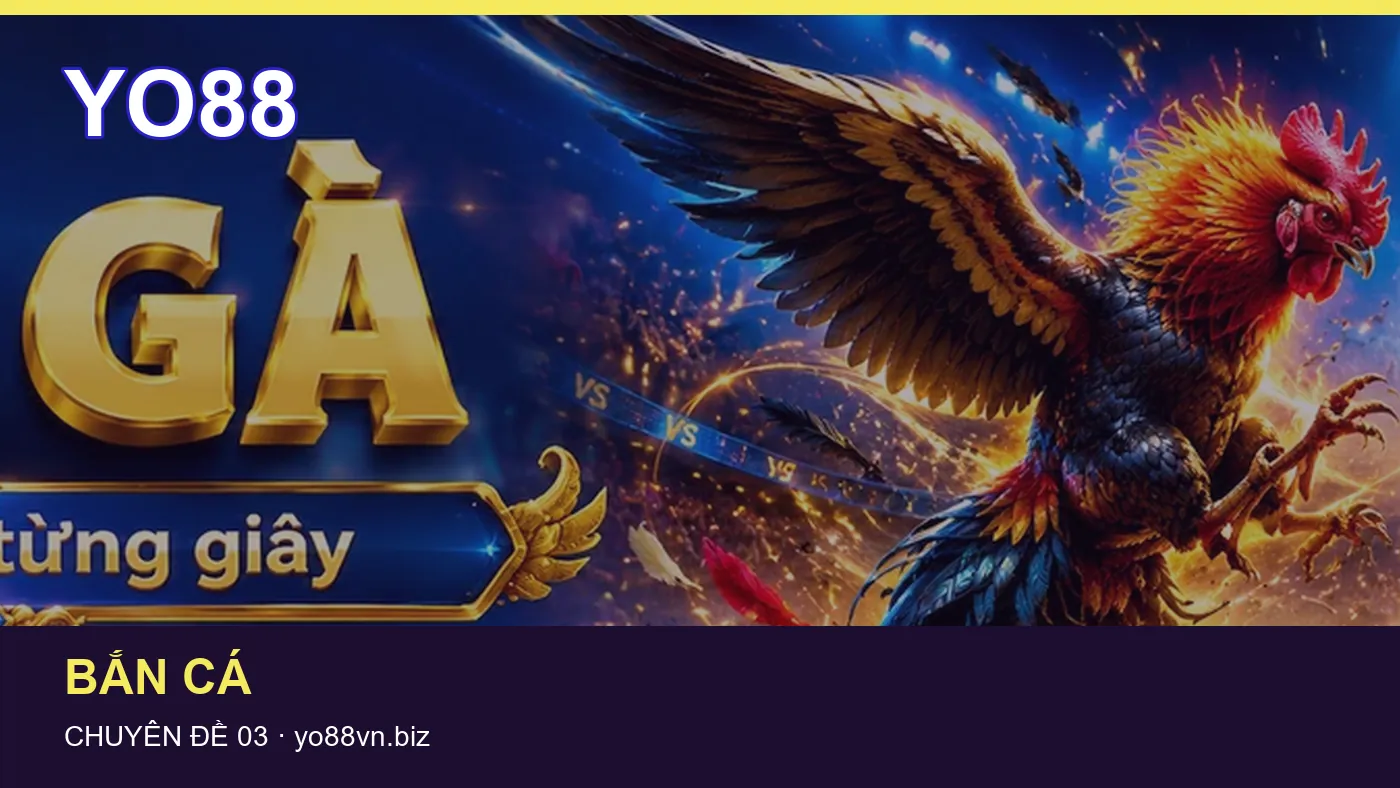 Danh sách kiểm tra thông tin Slot dành cho người đọc YO88